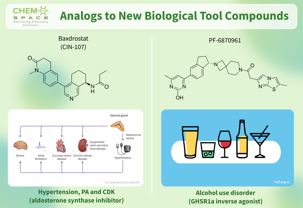 Analogs to New Biological Tool Compounds | Baxdrostat (CIN-107)  | PF-6870961